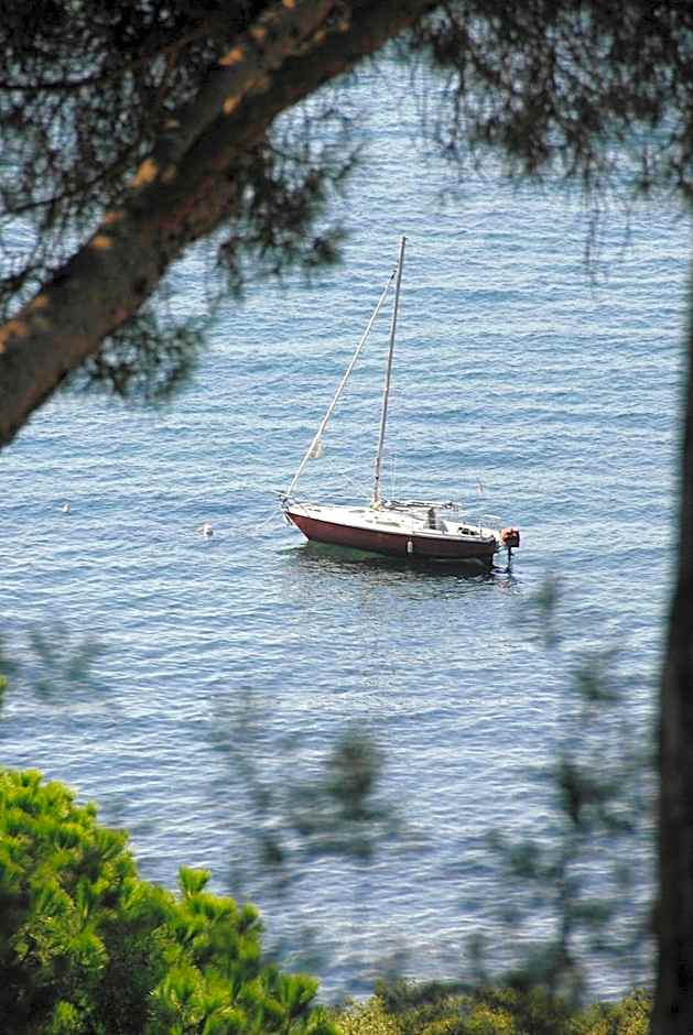 Hôtel le Chardon Bleu