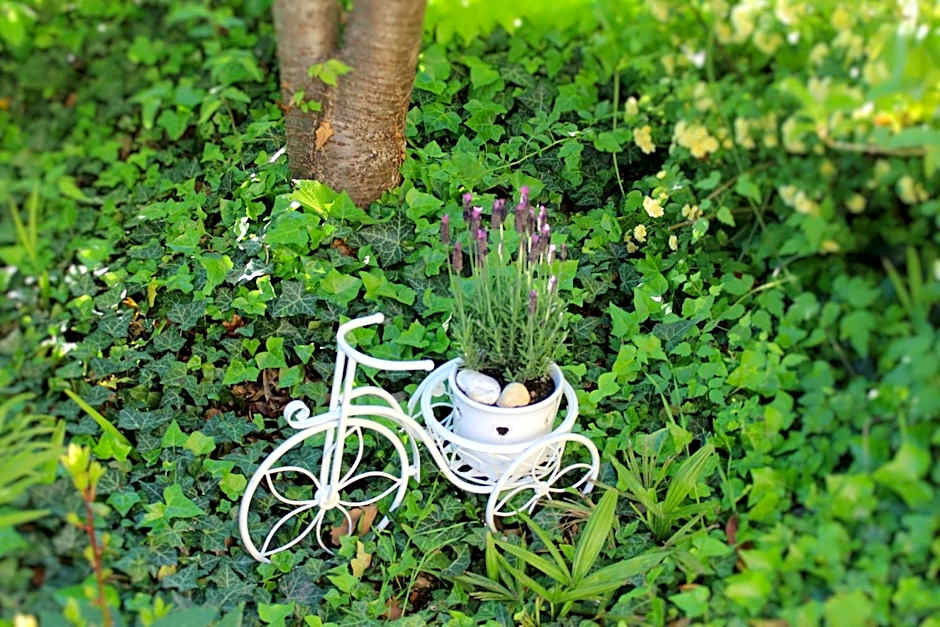 Gartenresidence Stephanie by Hotel Rotwand