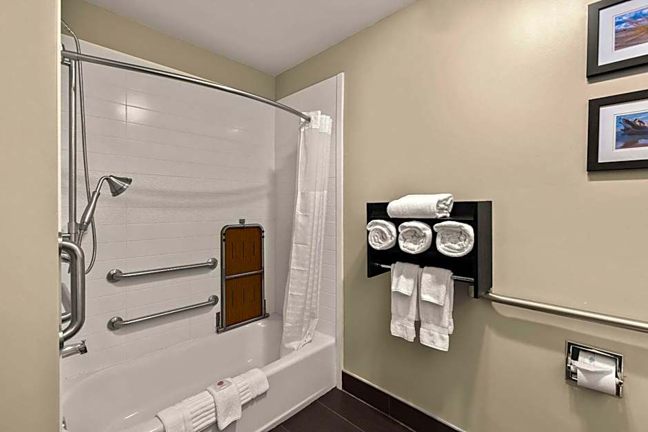 Comfort Inn Ludington near US-10