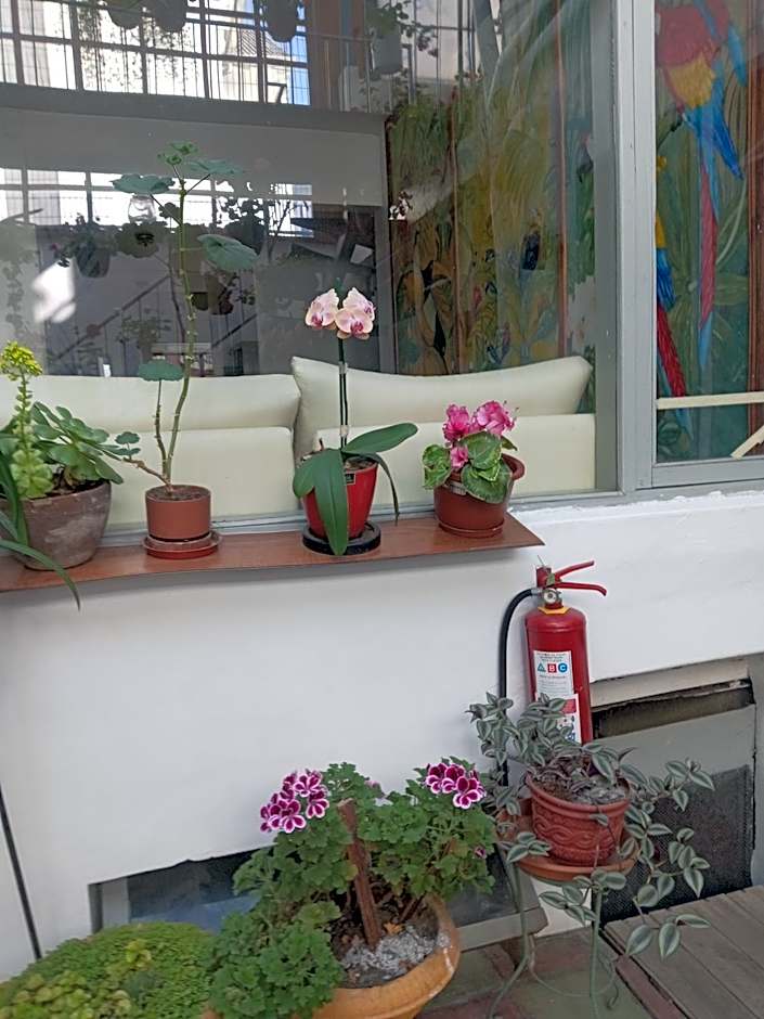 Hostal Posada del Maple