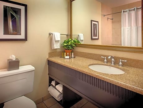 1 King Mobility Hearing Accessible Roll In Shower Suite Non-Smoking