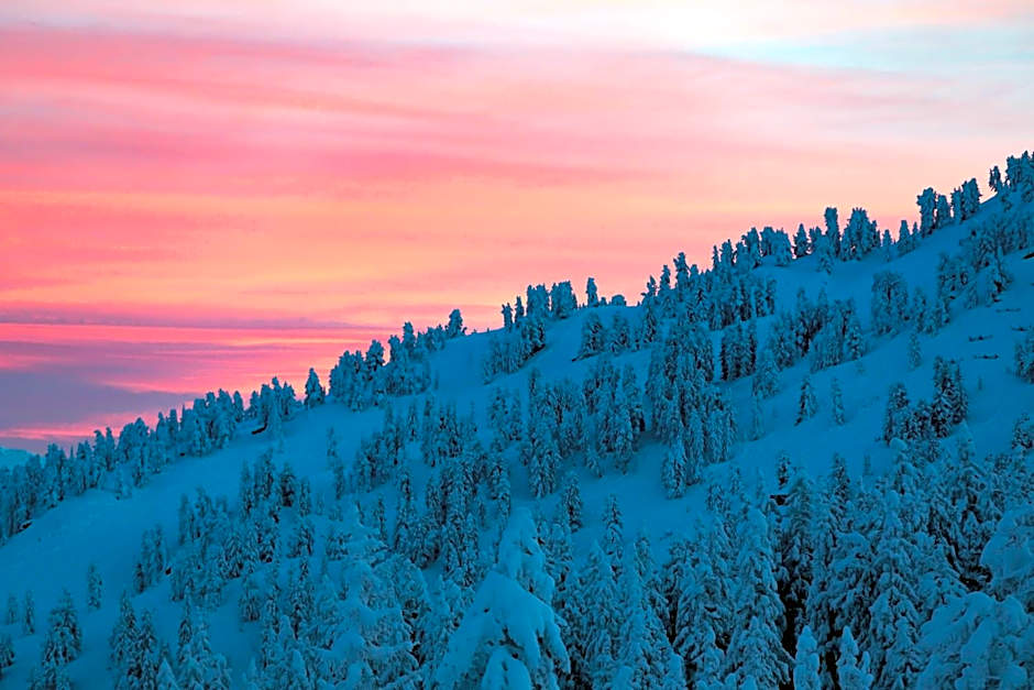 Hotel & Apart Central