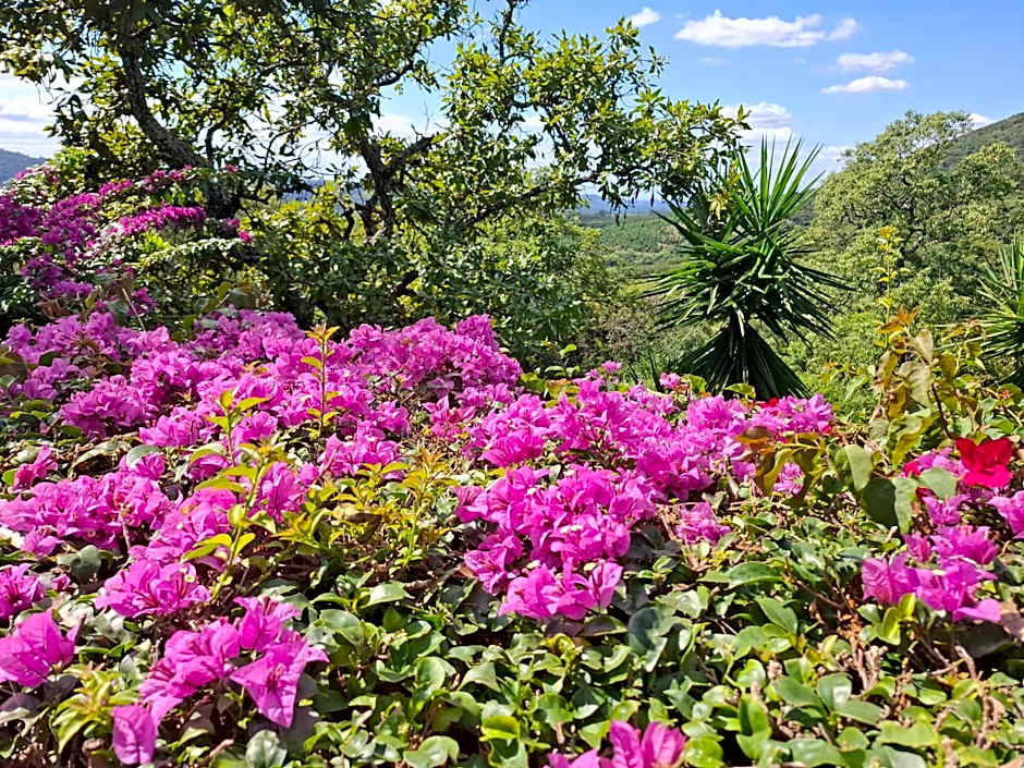 Chestnut Country Lodge