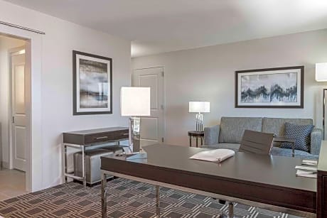 1 King Microwave/Fridge/Wet Bar Studio Suite
