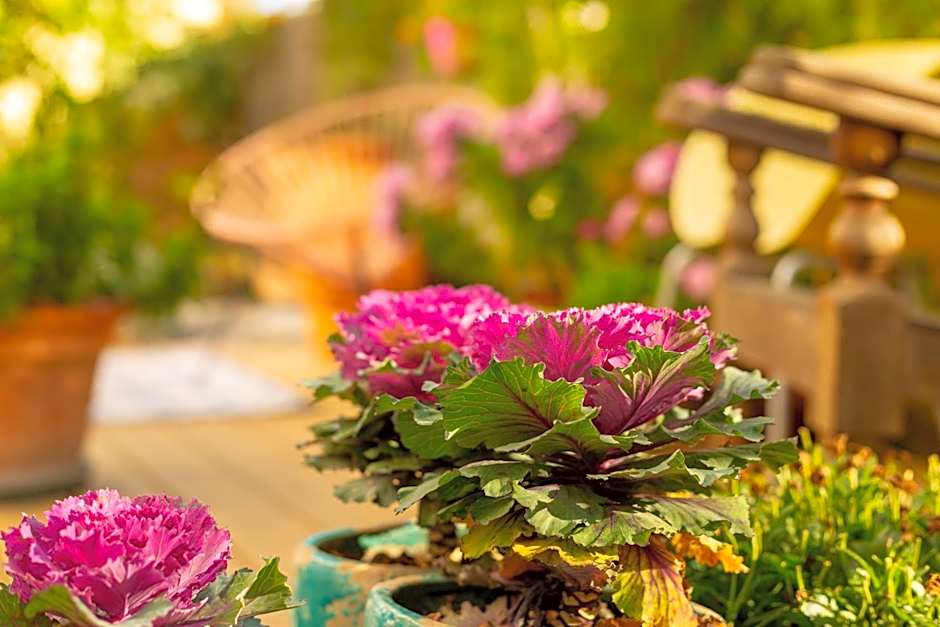 The rooms Bed & Breakfast