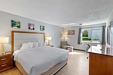 1 King Bed Deluxe Suite Non-Smoking