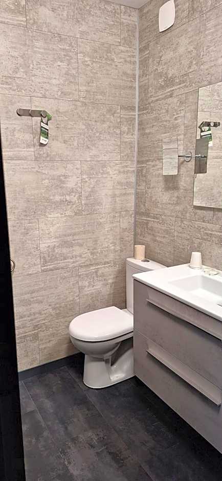 Brit Hotel le Cygne