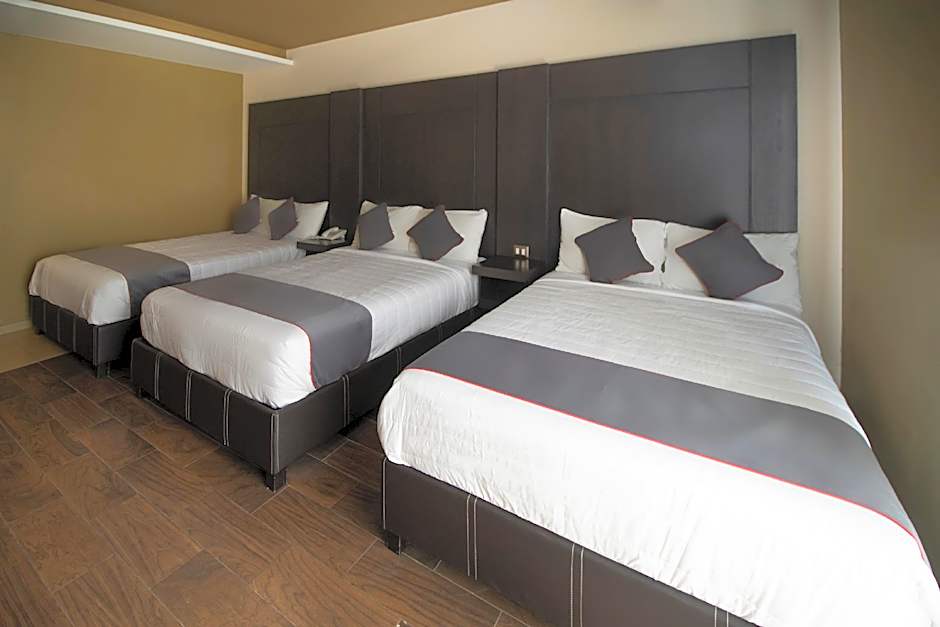 Collection O Las Iglesias