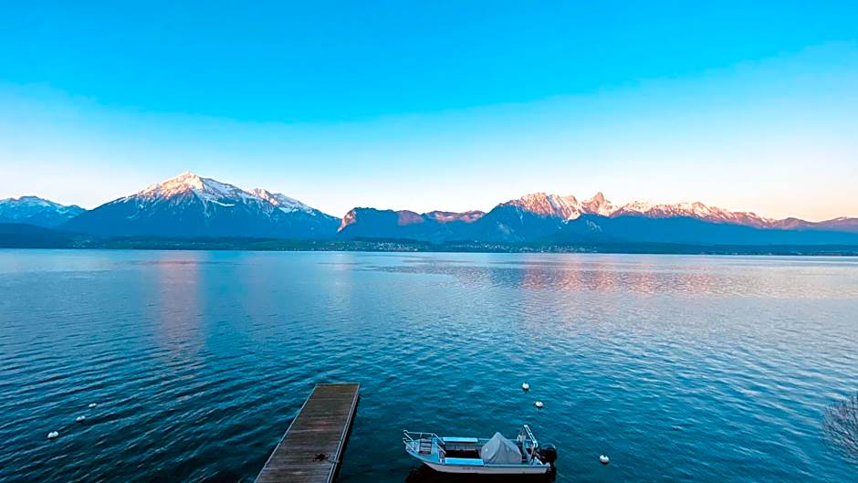 Hotel Restaurant Bellevue au Lac