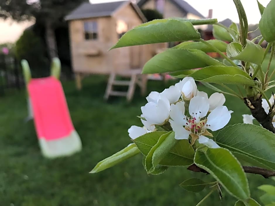 Domki letniskowe u Marty