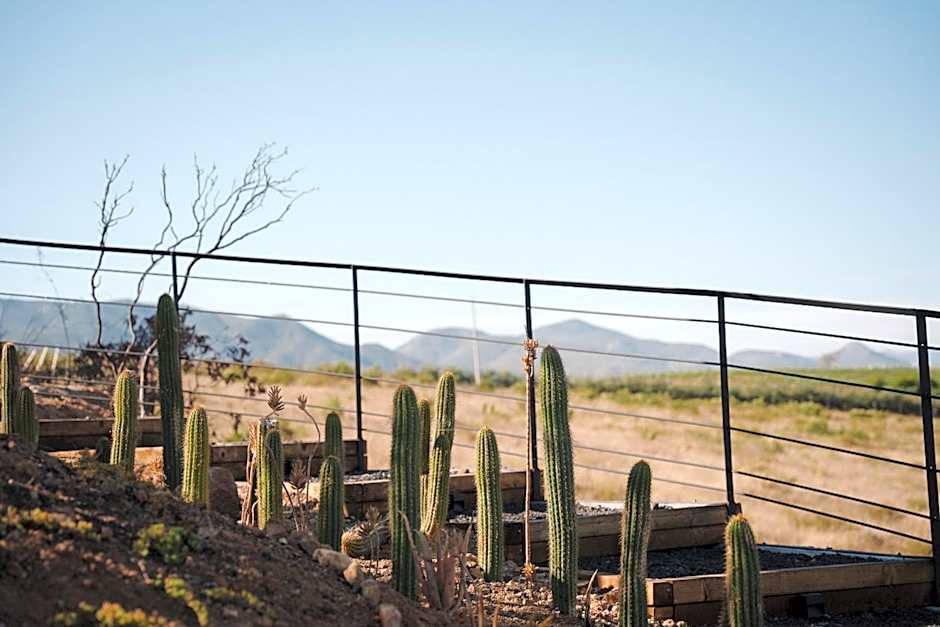 Bajo Estrellas Hotel Contemporáneo