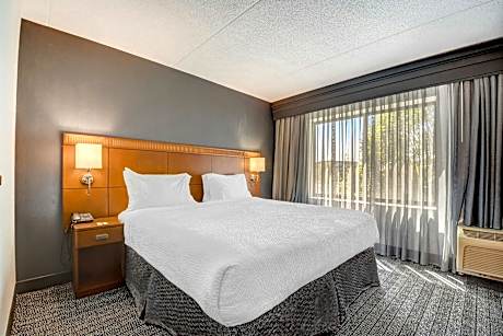 1 Bedroom Suite, 1 King, Sofa bed