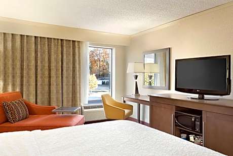 1 King Bed Nonsmoking