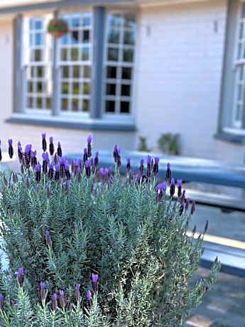 Colonial Terrace Motor Inn