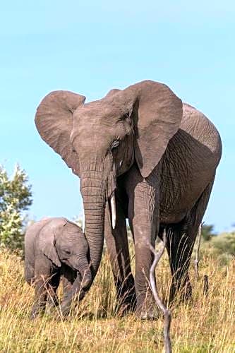 Olare Mara Kempinski