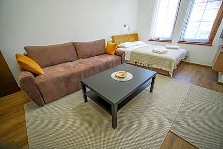 Studio Apartment with King Bed