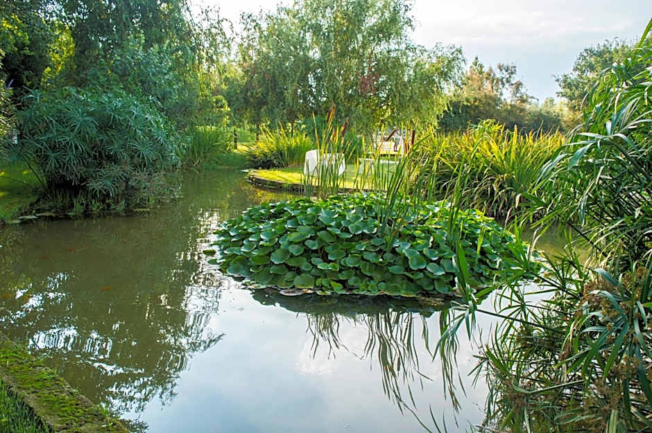 Astrea Wellness & Spa