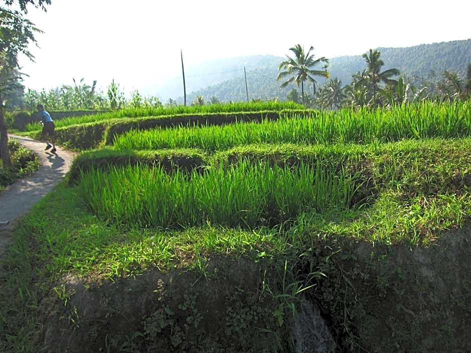 Yoga Homestay