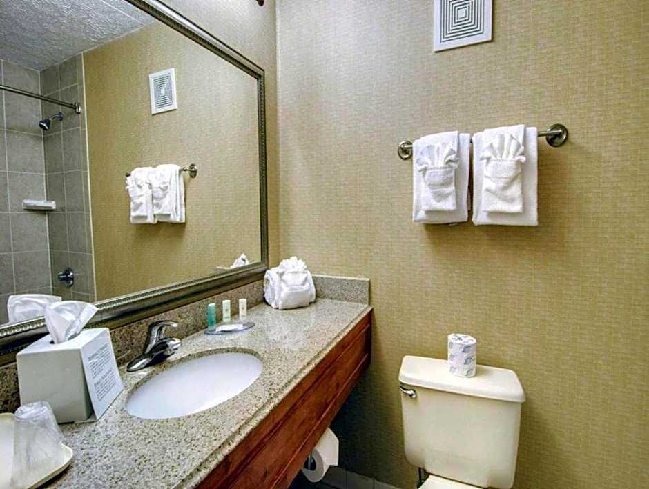 Quality Inn near Martinsville Speedway