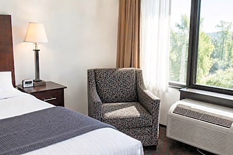 1 King Bed, Mobility Accessible Room, Bathtub w/ Grab Bars, Non-Smoking