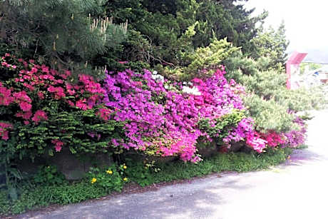 Pocheon Supsogui Gungjeon