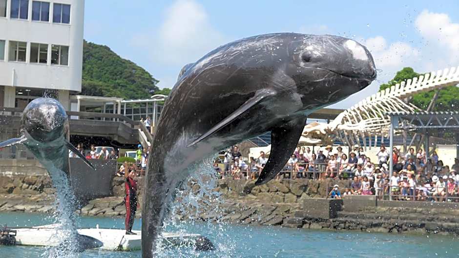 Kyukamura Nanki-Katsuura