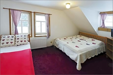 Comfort Triple Room with Shower