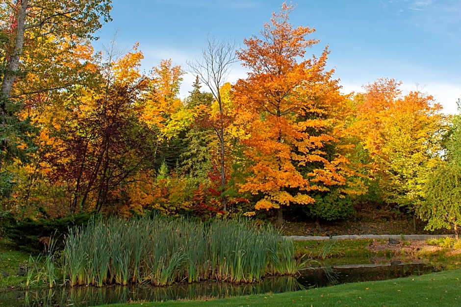 Holiday Inn Marquette by IHG