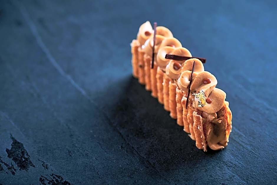 Lyon Marriott Hotel Cite Internationale