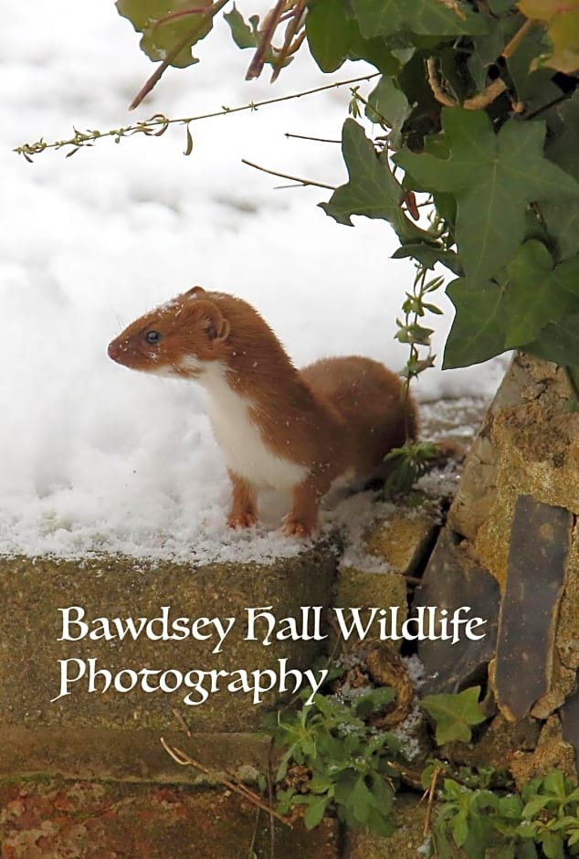 Bawdsey Hall