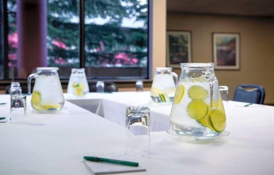 Whistler Village Inn & Suites