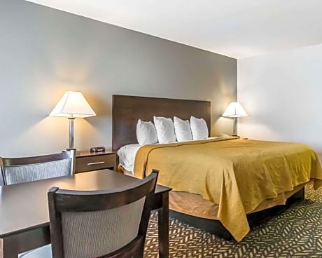 1 King Bed, Business Room, Efficiency, Nonsmoking, Upgrade