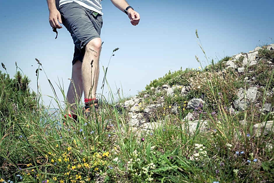 Heutaler Hof - Hotel im Naturidyll