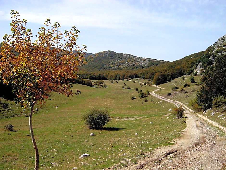 Hotel Residenza Petra