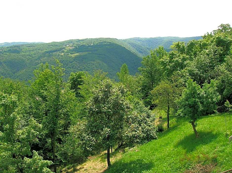 B&B Il Suono del Bosco