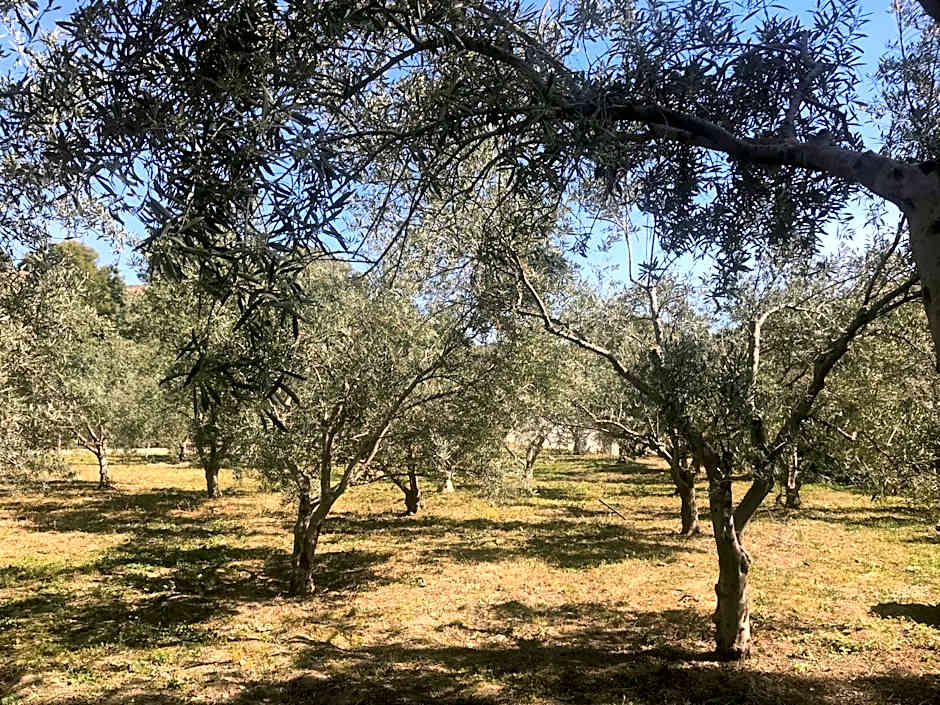 Alojamiento con Encanto en Málaga