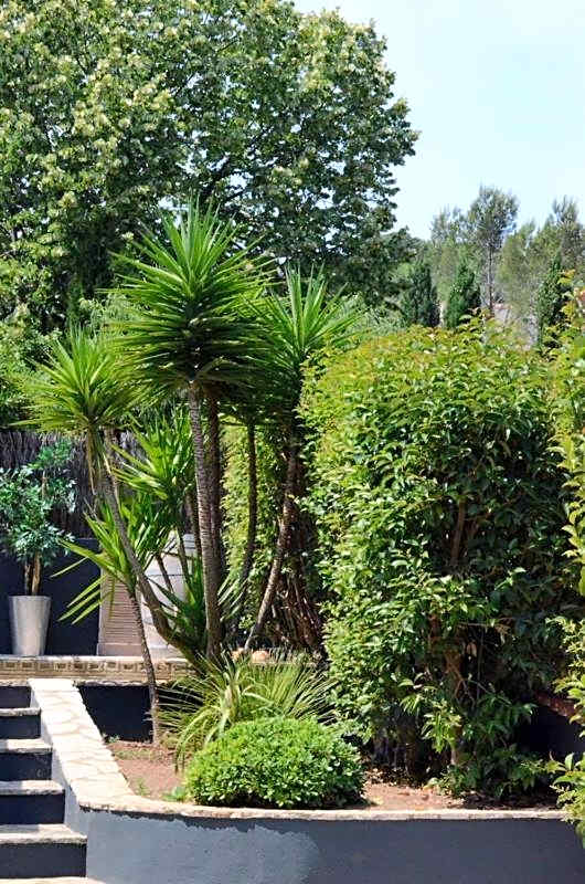 Les Jardins De Galicia