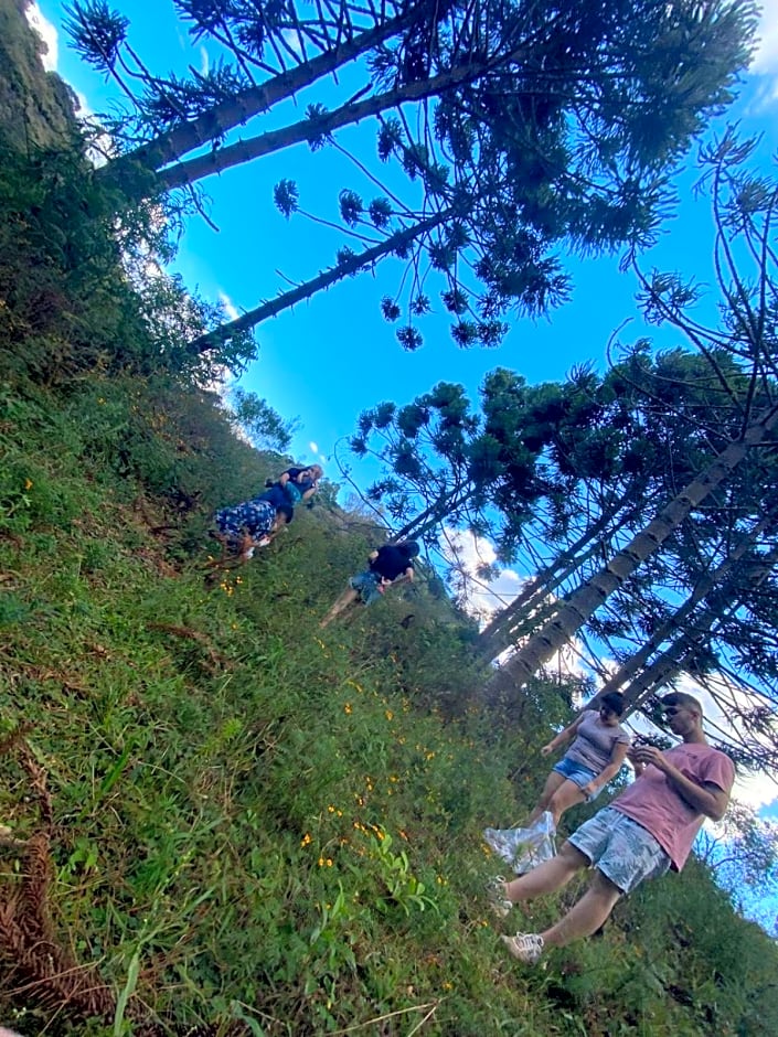 Pousada Pedra da Mata chales na montanha
