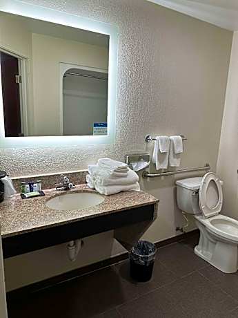 1 King Bed, 2 Queen Beds, Efficiency, Suite, Nonsmoking, Hearing Accessible