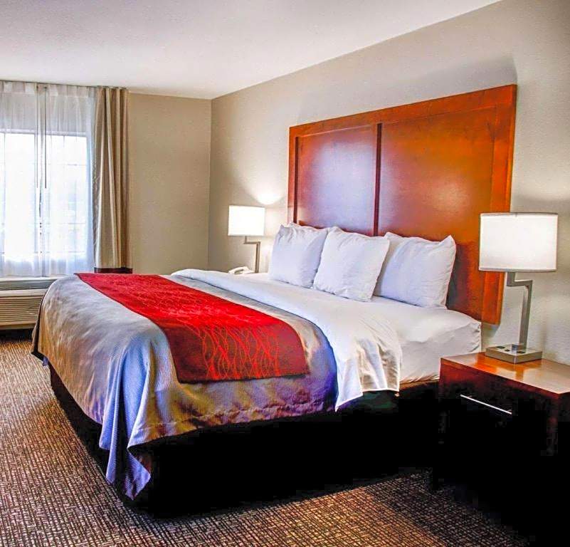 Comfort Inn Bessemer Birmingham South