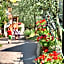 Hotel Baitone - Nature Village