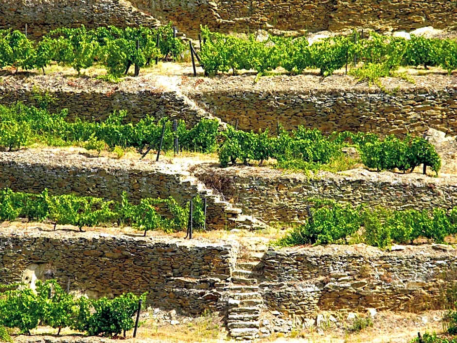 Hotel Rural da Quinta do Silval