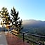Crystal Hill R
