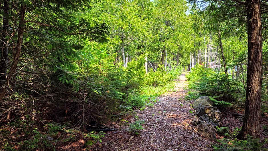 The Lookout - Waterfront Bliss near Tobermory