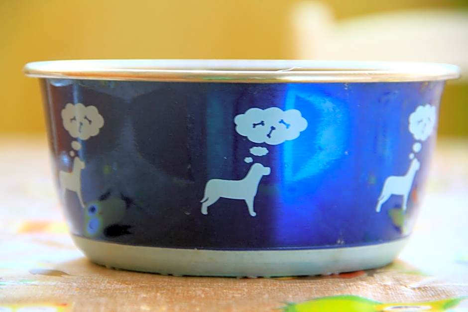 Backpackers Fairytale Hostel