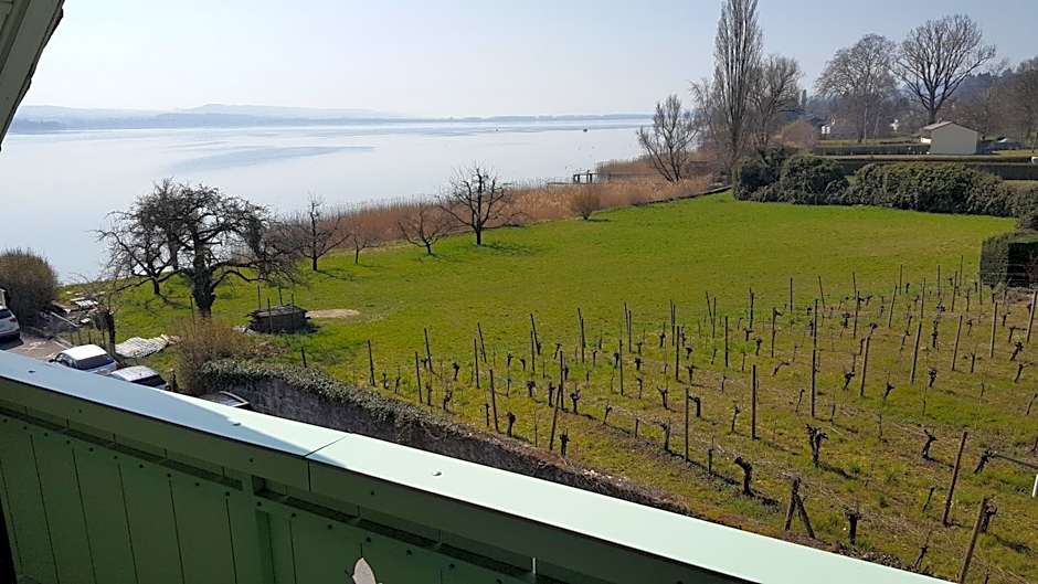 Hôtel Restaurant Cave Bel-Air