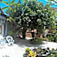 Canggu Pinpoint Rooms