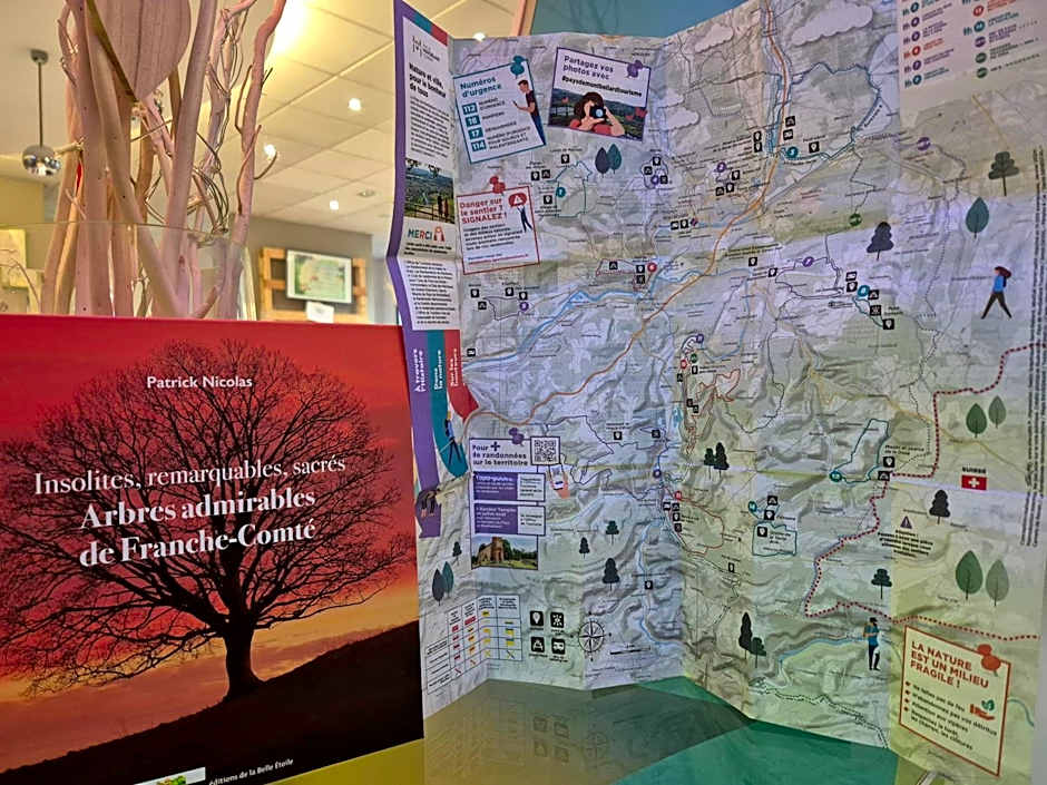 ibis Styles Montbéliard