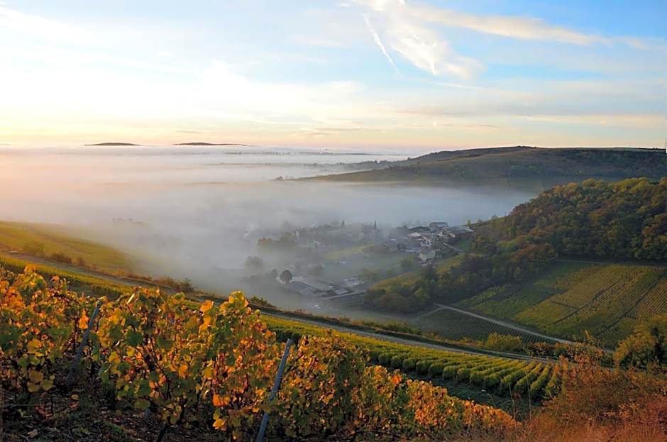 Hôtel Restaurant Famille Bourgeois "La Cote des Monts Damnés"