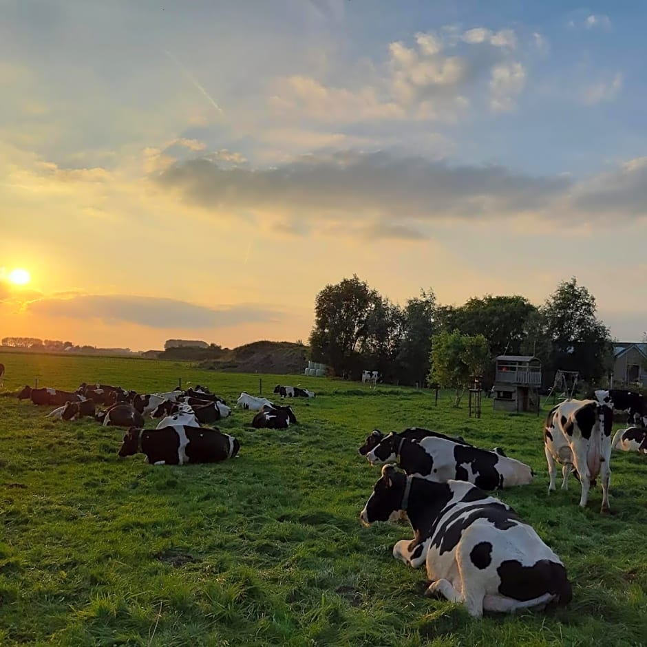 B&B De Hemelse Polder